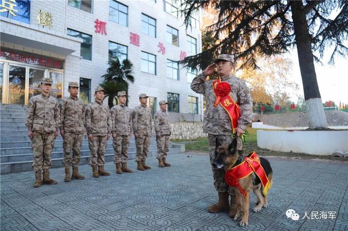 海军战士和军犬一同退役，离别时这一幕破防了