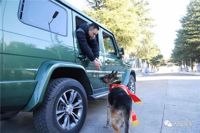 海军战士和军犬一同退役，离别时这一幕破防了