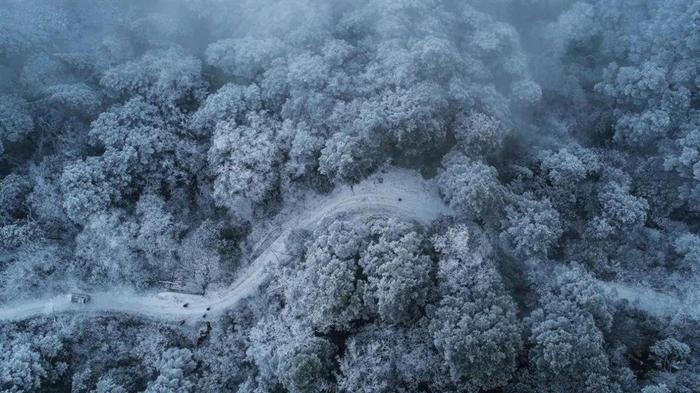 纪录片《武夷山·我们的国家公园》即将开播，尽显山水人文之美