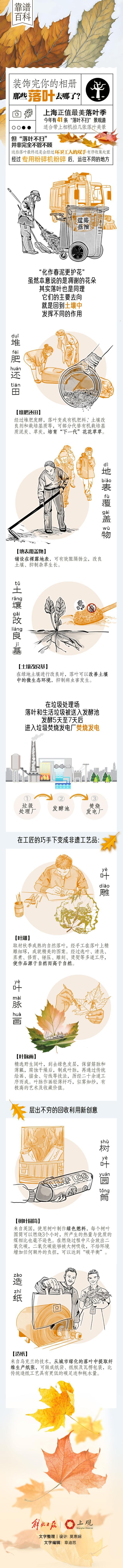 城市图鉴｜最美落叶季，装饰完你的相册，那些落叶去哪儿了？