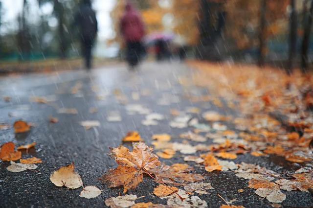 今日20℃！一连串阴雨天气将至，开启“湿冷”魔法……