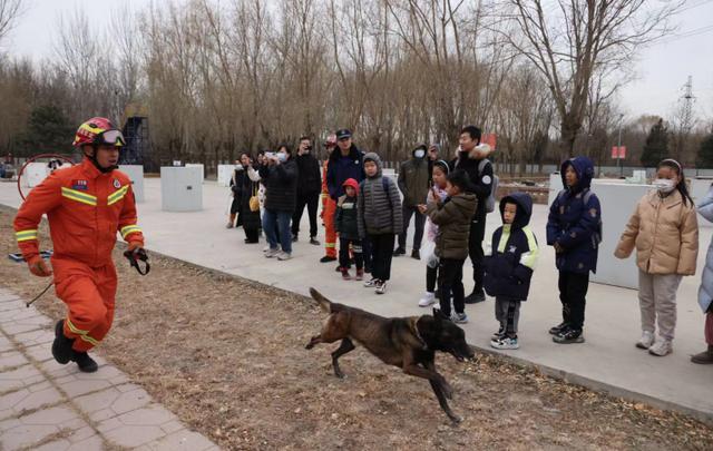 与搜救犬“亲密接触” 教育圆桌小记者团走进朝阳消防搜救犬站