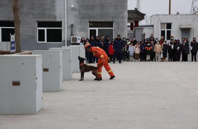 与搜救犬“亲密接触” 教育圆桌小记者团走进朝阳消防搜救犬站