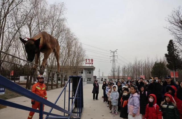 与搜救犬“亲密接触” 教育圆桌小记者团走进朝阳消防搜救犬站