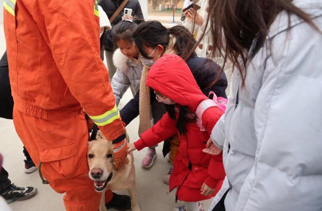 与搜救犬“亲密接触” 教育圆桌小记者团走进朝阳消防搜救犬站