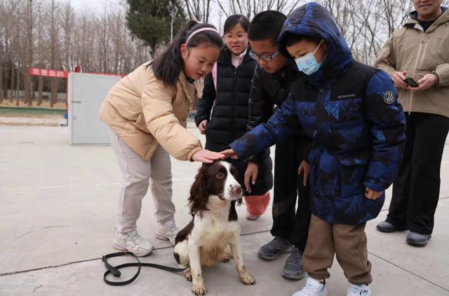 与搜救犬“亲密接触” 教育圆桌小记者团走进朝阳消防搜救犬站