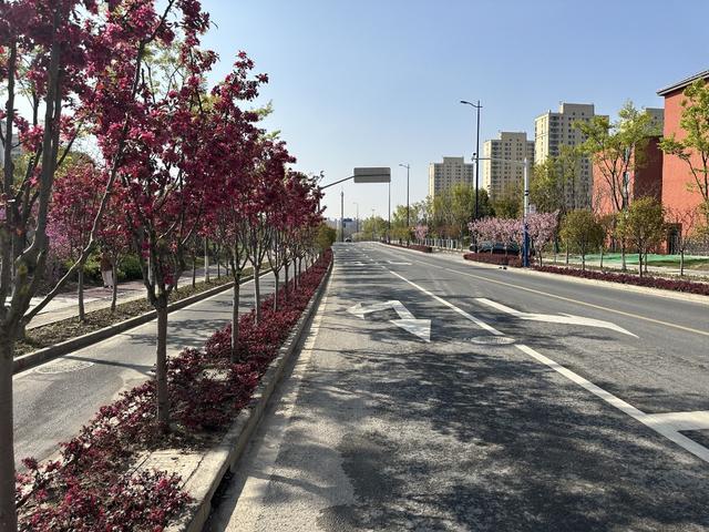 2023年度上海市绿化特色道路评选结果今起公示