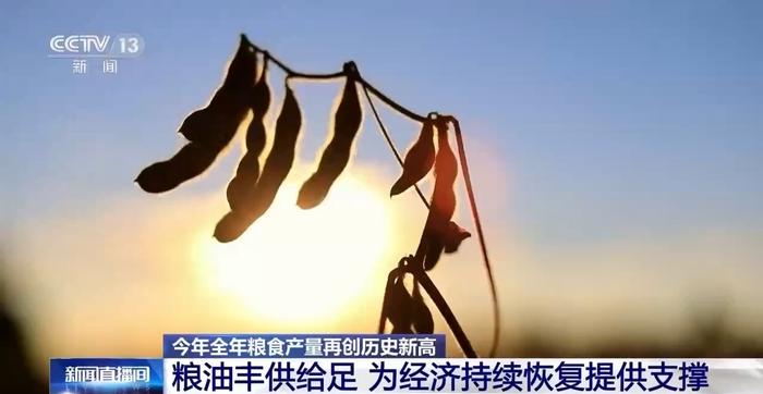 全国粮食总产量连续9年超1.3万亿斤 一系列惠农政策保障农民种粮利益