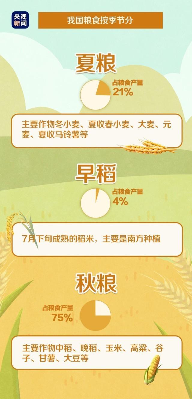 粮食产量再创新高！“粮食家族”今年的增产冠军是谁？