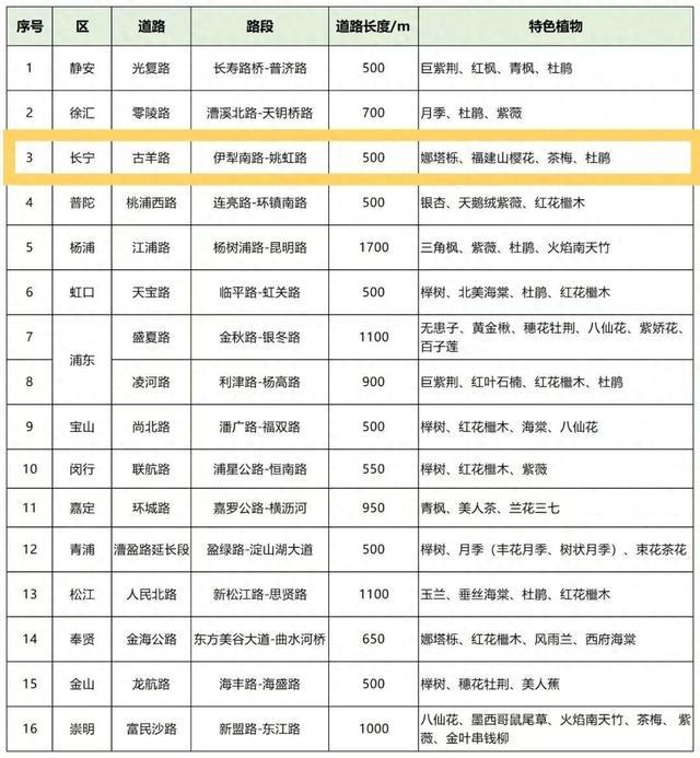 2023年度上海市绿化特色道路评选结果今起公示