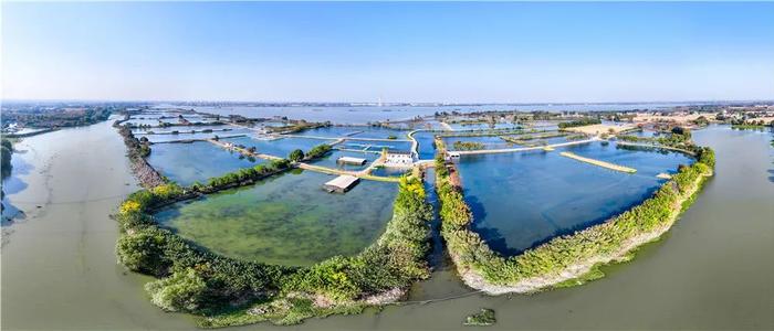 宜兴西氿生态湿地建成 每天可向下游提供15万立方米优质清水