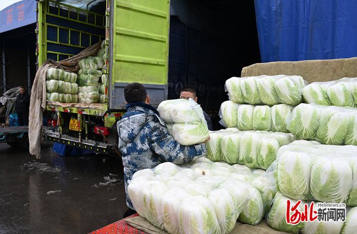 纵览现场 | 记者探访省会蔬菜批发市场：供应充足，价格总体平稳