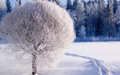 下场雪生病的人就少了？真相是……