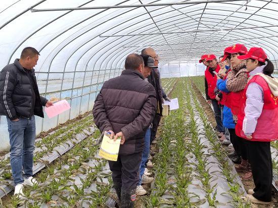 市农科院志愿者送科技下乡指导大棚蔬菜栽培