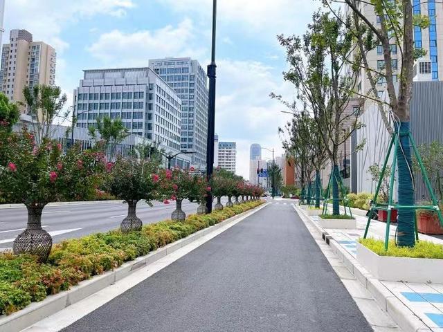 2023年度上海市绿化特色道路评选结果公示，宝山这条路入选→