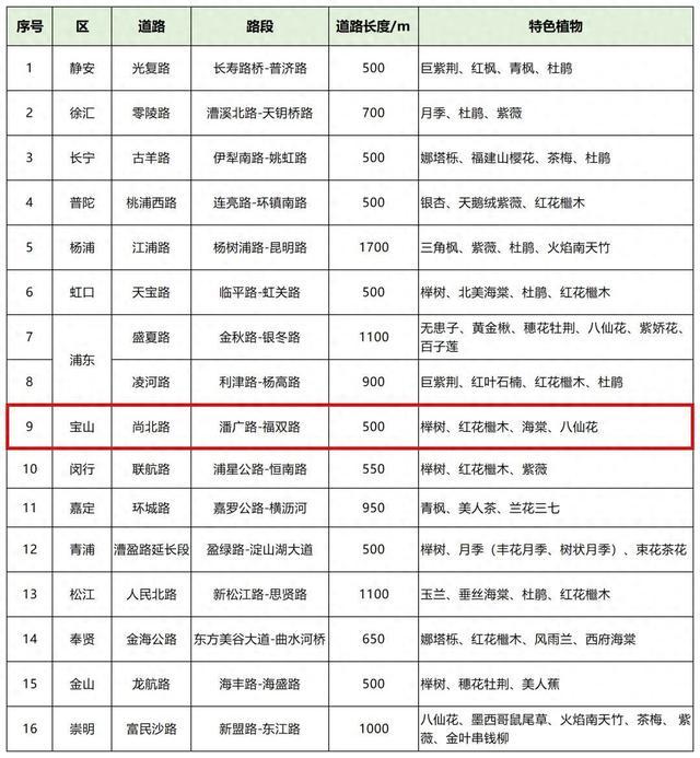 2023年度上海市绿化特色道路评选结果公示，宝山这条路入选→