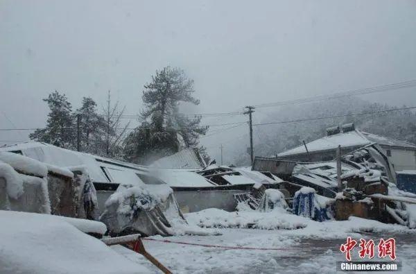 雪到底有多重？为何能压垮临时搭建物？