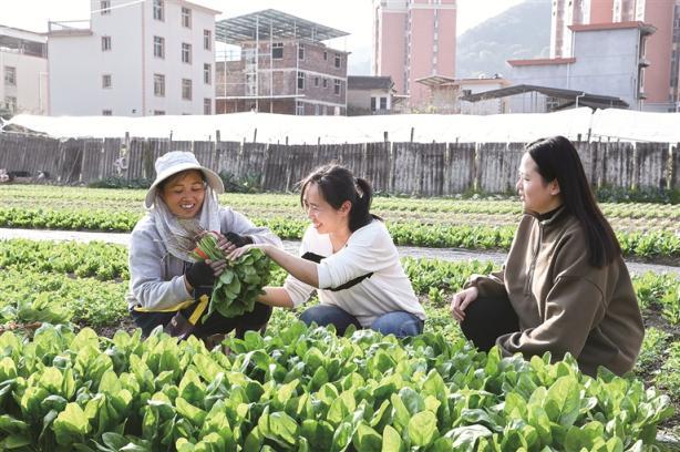 完善制度促进治理看实践丨福建：让小微权力在阳光下运行