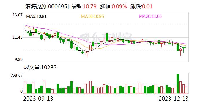 滨海能源：目前市场再融资项目整体放缓 公司会持续推进定增工作 暂无调整定增价格计划