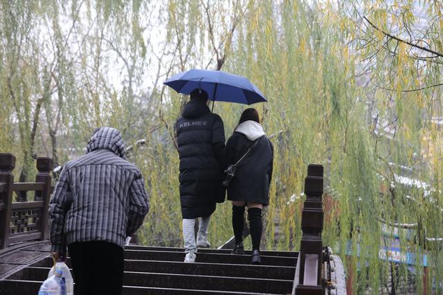 组图丨强冷空气又来！山东四预警齐发