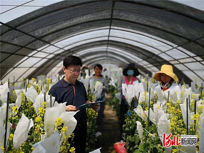 丛台酒·2023河北年度十大新闻人物候选人⑯丨6个高校教师团队：像黄大年那样为学为事为人