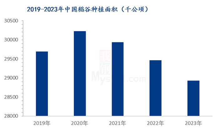 Mysteel解读：2023年稻谷种植面积与产量齐减