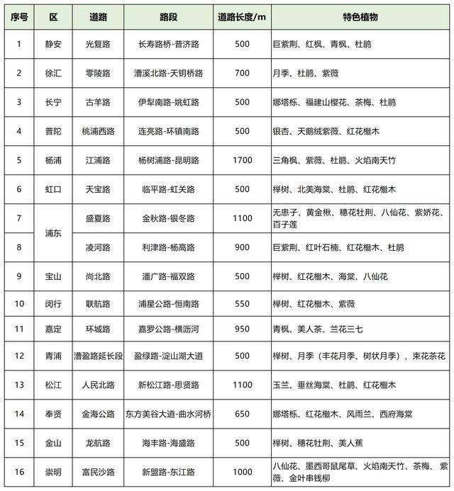 一步一景、处处可赏，静安区光复路入选上海市绿化特色道路