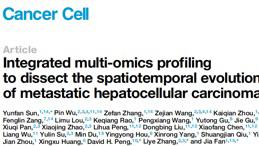 樊嘉院士团队国际首次绘制肝癌转移的时空多组学演化图谱，成果刊国际顶刊