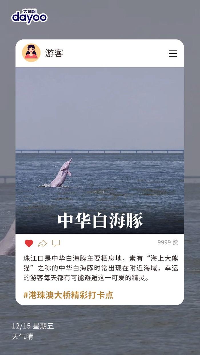 港珠澳大桥旅游攻略指南来了！这些亮点不容错过