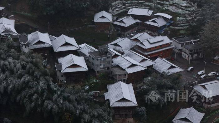 强寒潮来袭！柳州高寒山区下雪了！