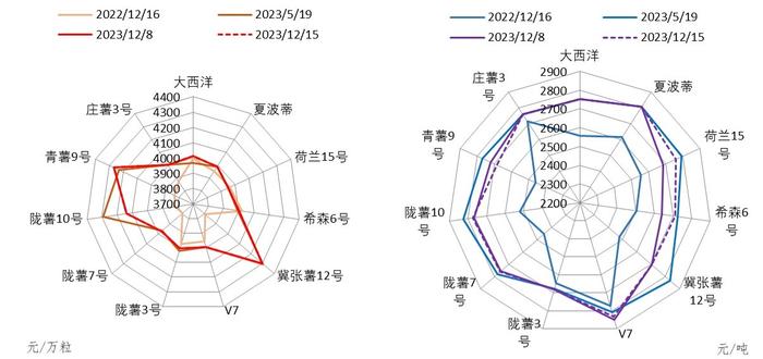 新华指数|定西商品薯价格再次走低 其他规格品产地出货价格稳弱