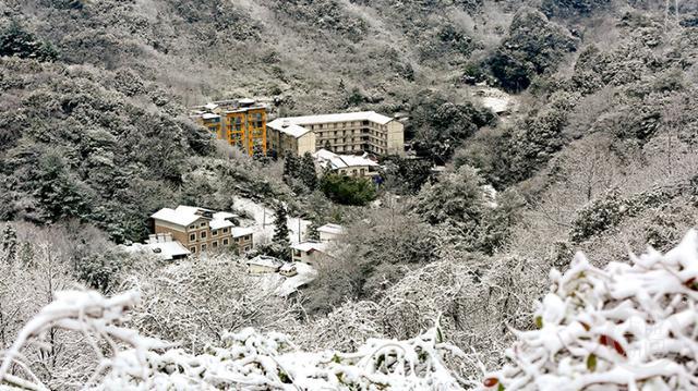 多图｜如约而至 重庆高海拔地区下雪了！