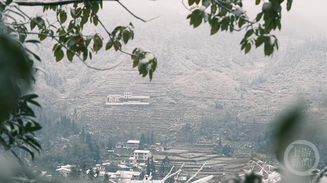 多图｜如约而至 重庆高海拔地区下雪了！