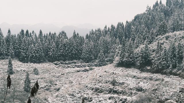 多图｜如约而至 重庆高海拔地区下雪了！