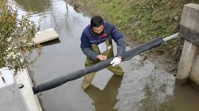 最低温度将达-6℃，崇明区全力防范应对寒潮