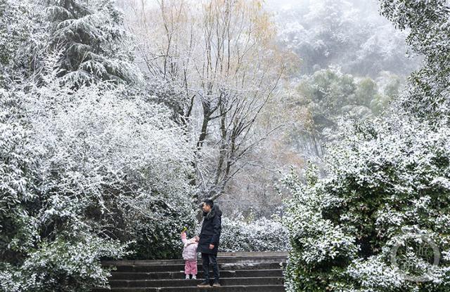 多图｜如约而至 重庆高海拔地区下雪了！