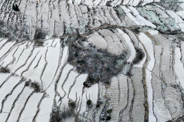 多图｜如约而至 重庆高海拔地区下雪了！