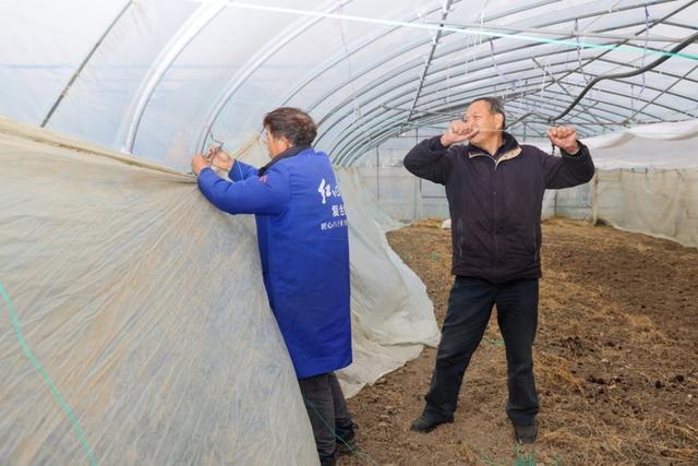 保温被、暖风袋、加温线、补光灯……寒潮之下，沪郊蔬菜育苗基地“防冻”办法多