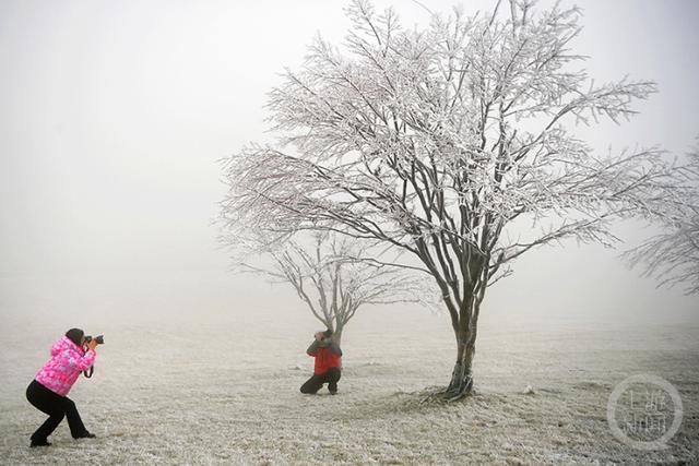 多图｜如约而至 重庆高海拔地区下雪了！