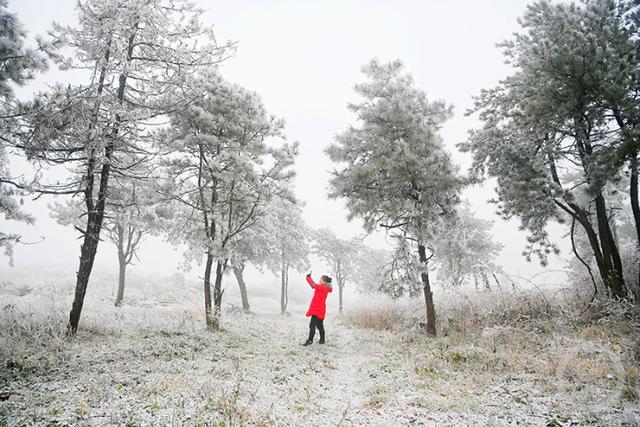 多图｜如约而至 重庆高海拔地区下雪了！