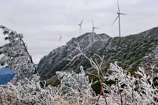 多图｜如约而至 重庆高海拔地区下雪了！