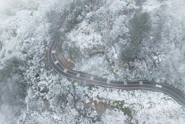 多图｜如约而至 重庆高海拔地区下雪了！