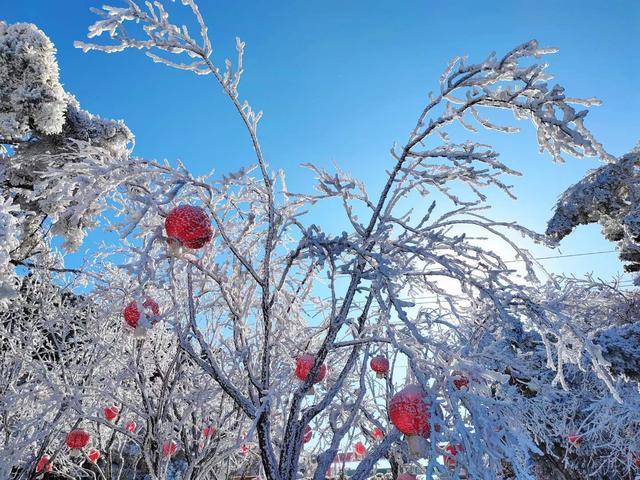 组图丨雪后跑马岭，在齐鲁雪乡沉浸式赏雪！