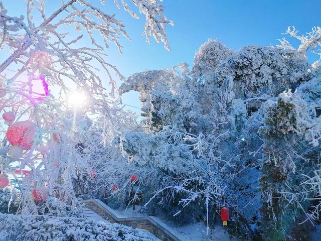 组图丨雪后跑马岭，在齐鲁雪乡沉浸式赏雪！