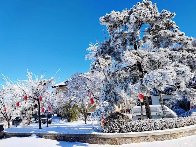 组图丨雪后跑马岭，在齐鲁雪乡沉浸式赏雪！