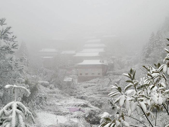 强寒潮来袭！柳州高寒山区下雪了！