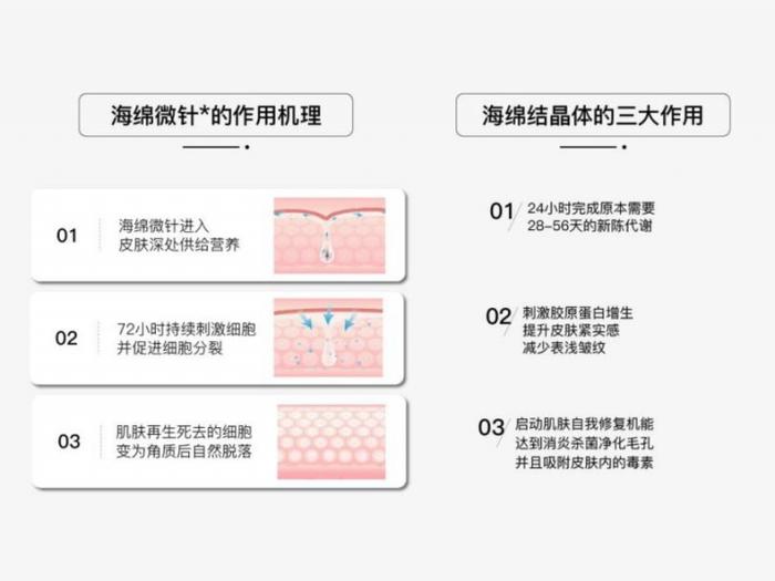 嘉顿肯妮2024春节社交季发布会：新品奇肌系列、七步曲系列亮相！