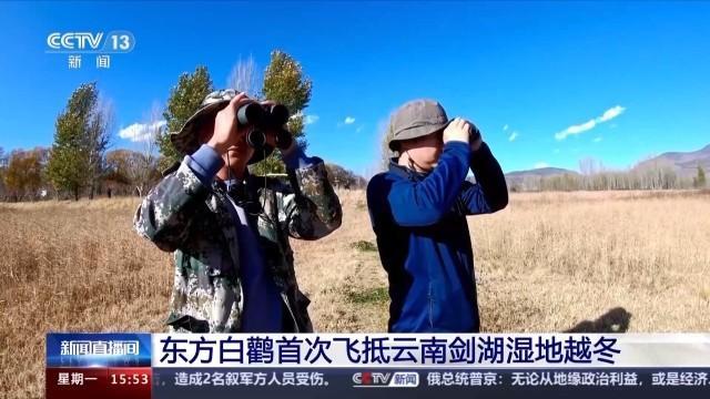 “鸟中国宝”东方白鹳首次飞抵云南剑湖湿地越冬