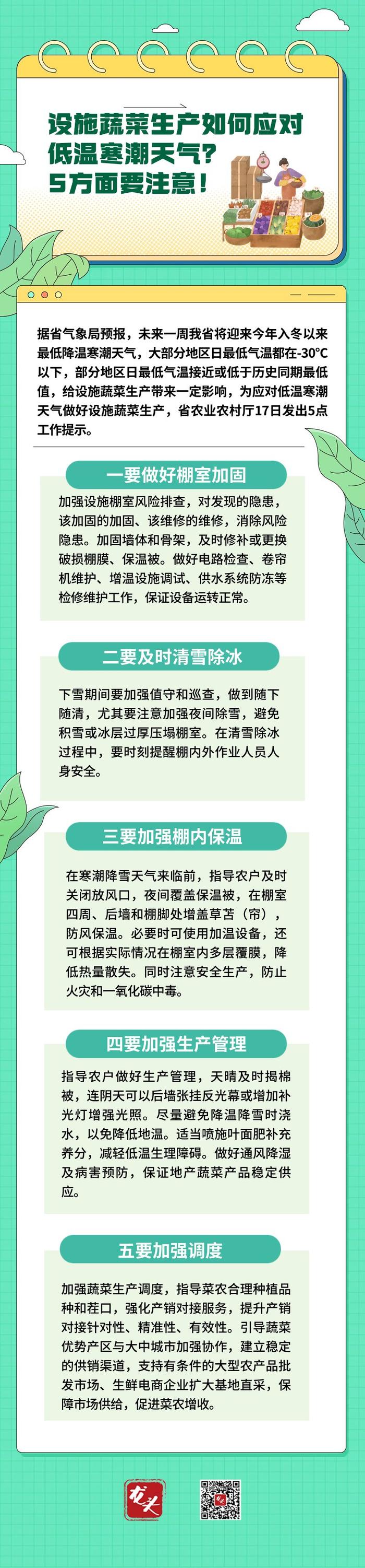 设施蔬菜生产如何应对低温寒潮天气？5方面要注意！