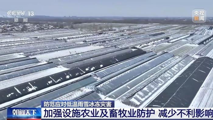 持续雨雪冰冻对农作物有何影响？多地发布防护措施→